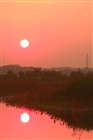 dailyPhoto35