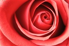 dailyPhoto10