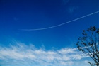 dailyPhoto15