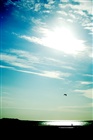 dailyPhoto29
