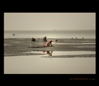 dailyPhoto4