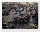 photo1