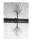 dailyPhoto24