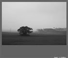 dailyPhoto1