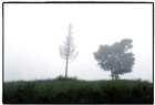 dailyPhoto6
