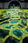 dailyPhoto7