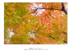 dailyPhoto3