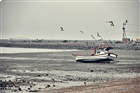dailyPhoto40
