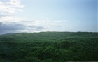 dailyPhoto16