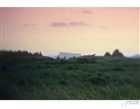dailyPhoto37