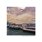 dailyPhoto6