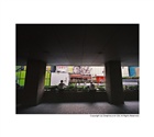dailyPhoto4