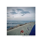 dailyPhoto7