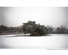 dailyPhoto5
