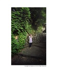 dailyPhoto40