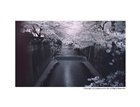 dailyPhoto7