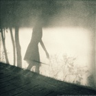 dailyPhoto8