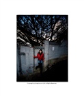 dailyPhoto20