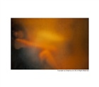 dailyPhoto12