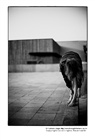 dailyPhoto20