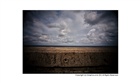 dailyPhoto6