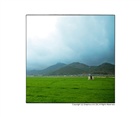 dailyPhoto26