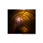 dailyPhoto28