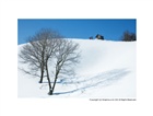 dailyPhoto6