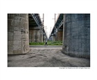 dailyPhoto36