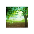 dailyPhoto6