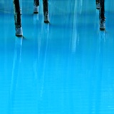 dailyPhoto7