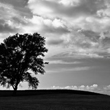 dailyPhoto30