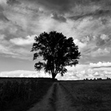 dailyPhoto9