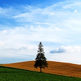 dailyPhoto40