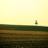dailyPhoto19