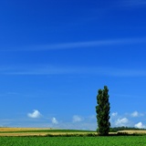 dailyPhoto4