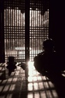 dailyPhoto15
