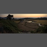 dailyPhoto1