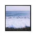 dailyPhoto10