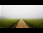 dailyPhoto29