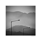 dailyPhoto25