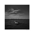 dailyPhoto1