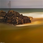 dailyPhoto36