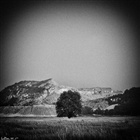 dailyPhoto31