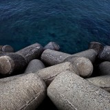 dailyPhoto33