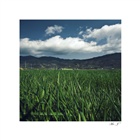 dailyPhoto3