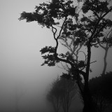 dailyPhoto17