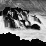 dailyPhoto9
