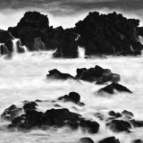 dailyPhoto3