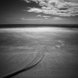 dailyPhoto20